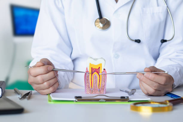 Best Emergency Tooth Extraction in Arrowhead Beach, NC